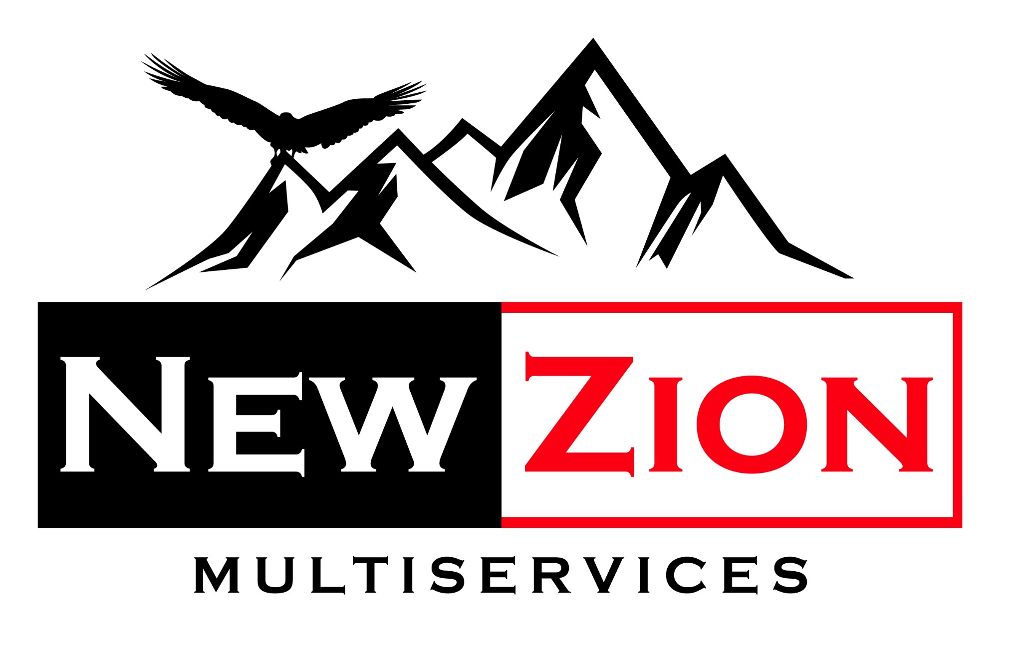 Newzion Multiservices logo
